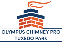 Olympus Chimney Pro